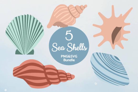 Ocean Shell Collection: A Designer's Review for Real Stitching